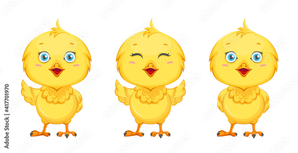 Cute little chick, set of three poses