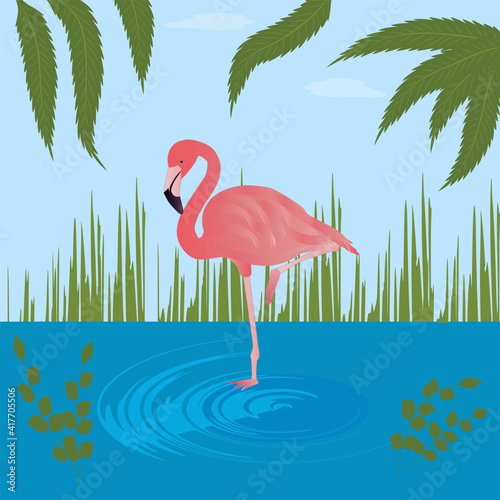 Pink flamingo standing on one leg in a pond, greenery - vector. Tourism. Travel. World of exotic birds.