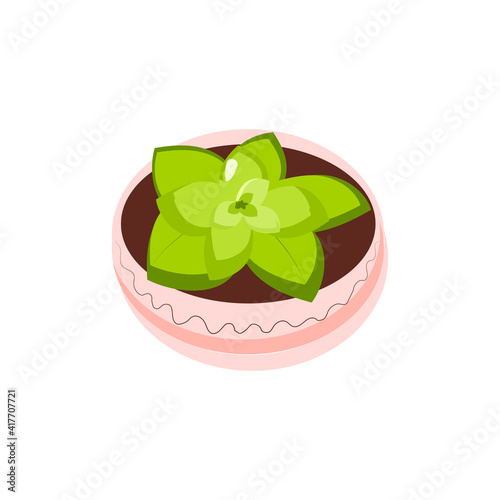 Isolated object against white background. A succulent plant in a pot. Home plants. Cacti - roses. Flower pot with a pattern. Vector in flat style. Suitable for specialized illustrations, layouts.