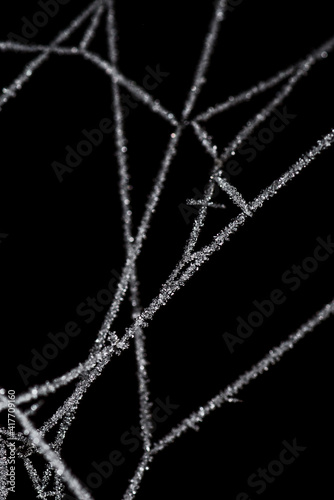 Spinnennetz mit Eis