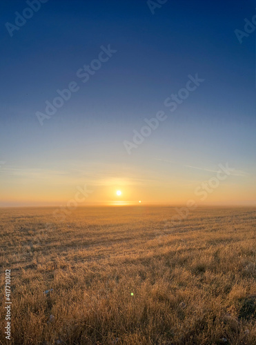 sunrise over the field