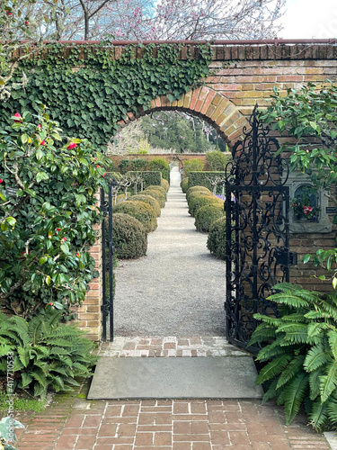 path in the garden