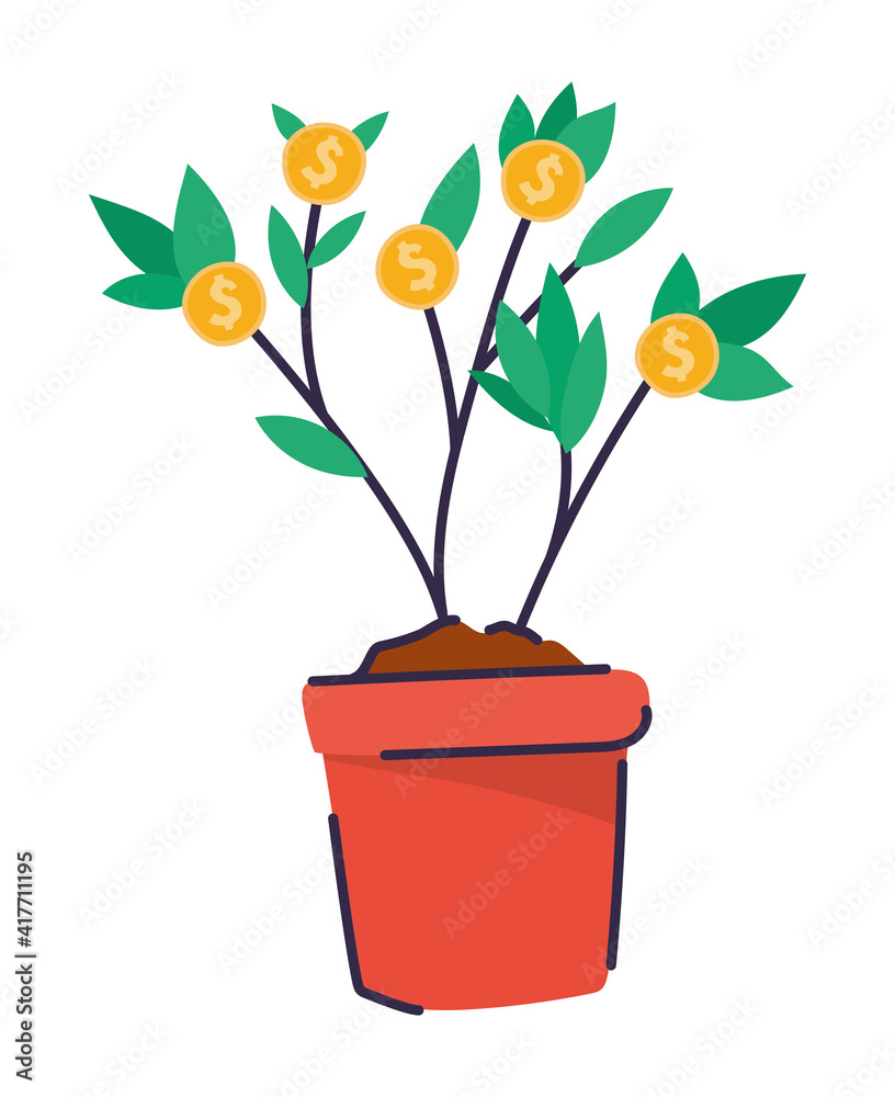 plant of dollars on a red pot