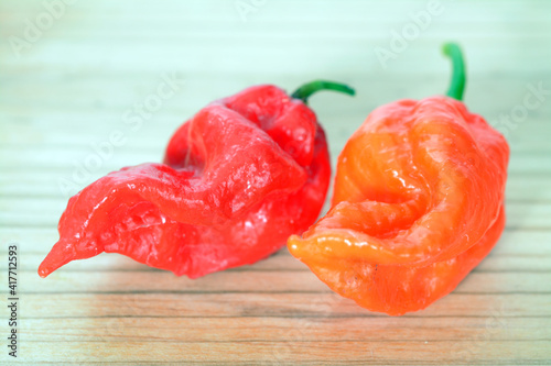 bhut jolokia pepper photo