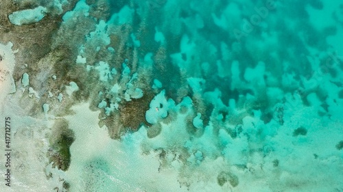 Lagon de l'Anse Moustique à Ste Anne en Martinique