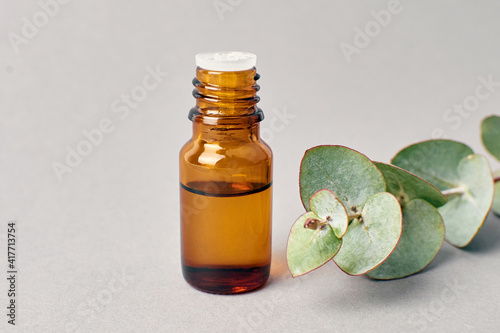 Eucalyptus plant and essential oil in dark bottle on grey background