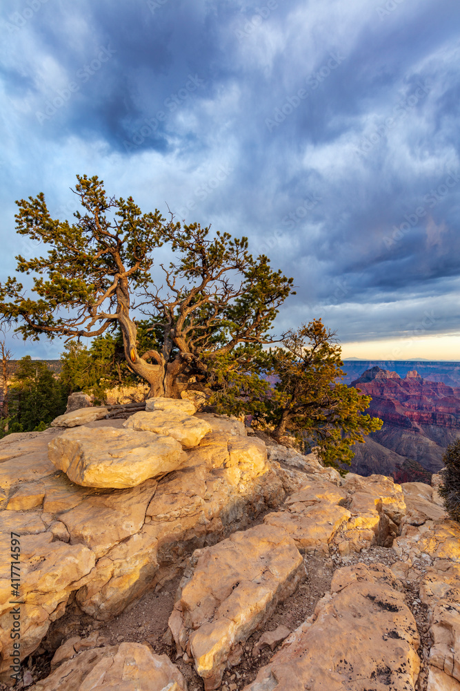 View from Bright Angel Point on the North Rim of Grand Canyon National Park, Arizona, USA View from Bright Angel Point on the North Rim of Grand Canyon National Park, Arizona, USA