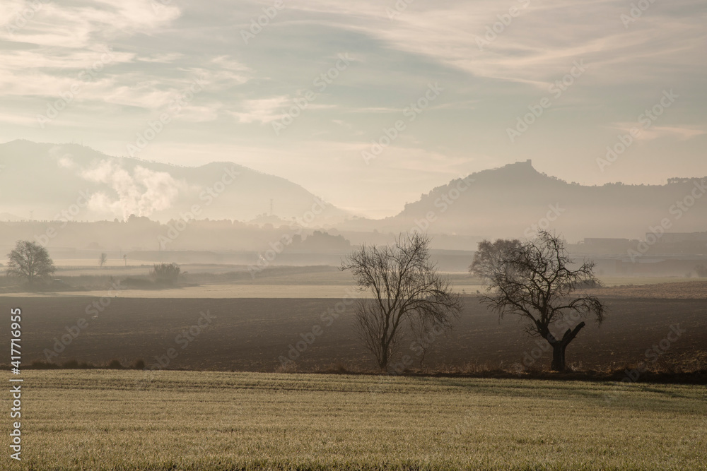 Beautiful misty landscape showing a couple of trees and some mountains among some fields in Odena in Catalonia