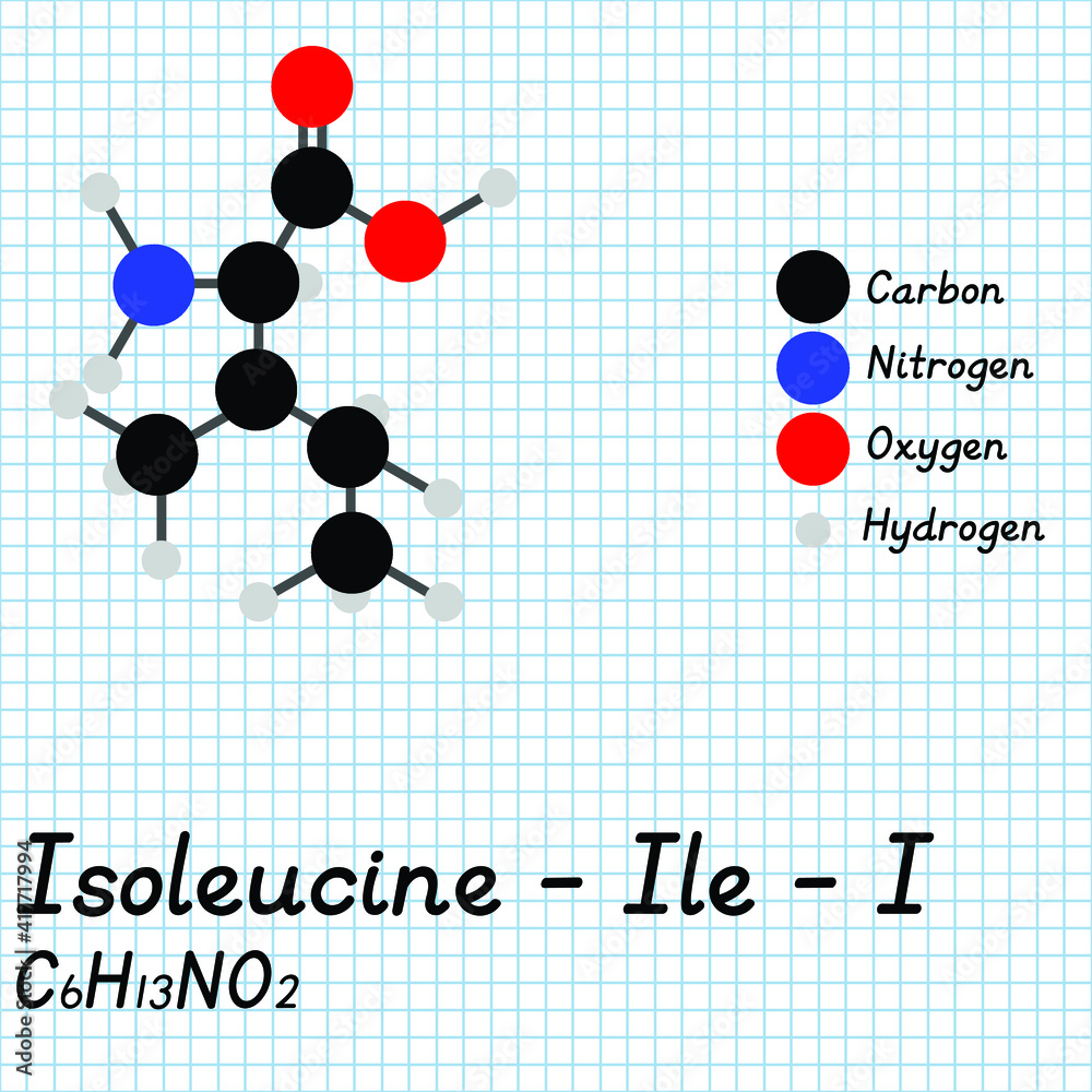 Isoleucine - Ile - I - Amino Acid molecular formula and chemical ...