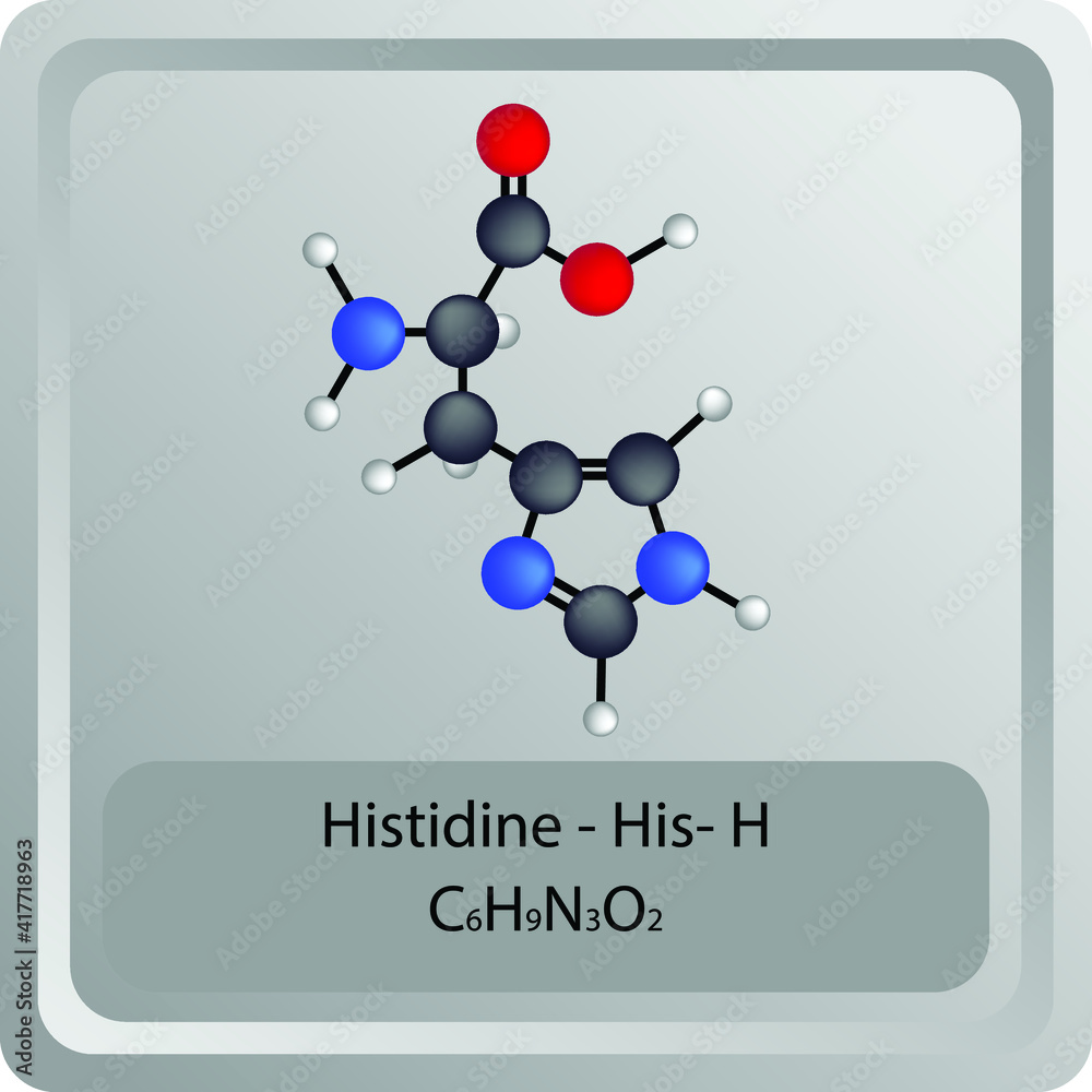 Histidine His H Amino Acid chemical structure. Molecular formula ball and stick model of