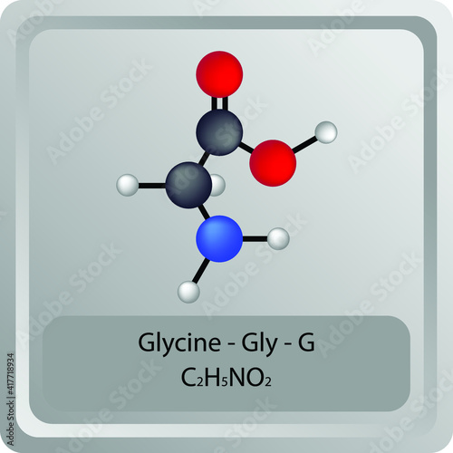 Glycine - Gly - G - Amino Acid chemical structure. Molecular formula ball and stick model of Histidine Molecule. Biochemistry class, Biological and Chemical vector illustration. EPS10