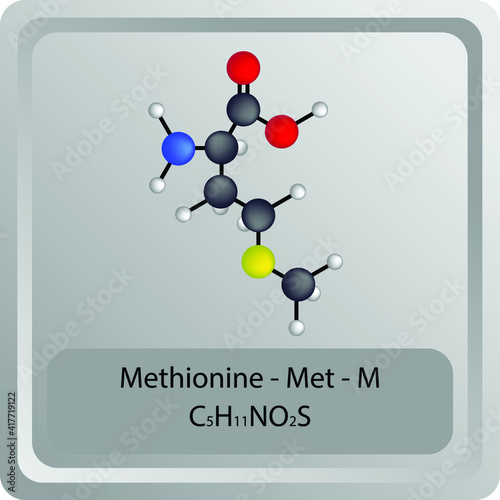 Methionine - Met - M - Amino Acid chemical structure. Molecular formula ball and stick model of Histidine Molecule. Biochemistry class, Biological and Chemical vector illustration. EPS10