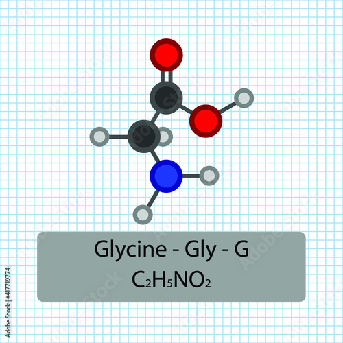 Glycine - Gly - G - Amino Acid molecular formula and chemical structure . 2D Ball and stick model on school paper sheet background. EPS10