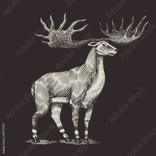 Irish elk or Giant deer or Great Horn. Prehistoric mammals. Extinct animal. Vintage retro vector illustration. Doodle style. Hand drawn engraved sketch