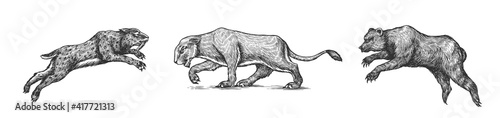 Cave bear and lion. Panthera Saber toothed tiger. Prehistoric mammals. Extinct animal. Vintage animal. Retro Mammals. Hand drawn engraved sketch.