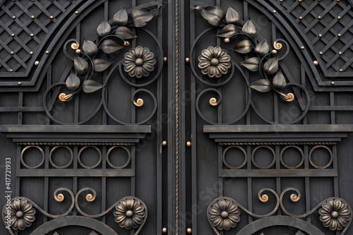 Modern metal gates decorated with forged elements
