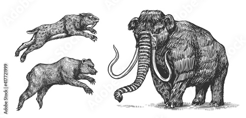 Mammoth or extinct elephant, Cave bear and Saber toothed tiger. Vintage Extinct animal. Retro Mammals. Hand drawn engraved sketch.