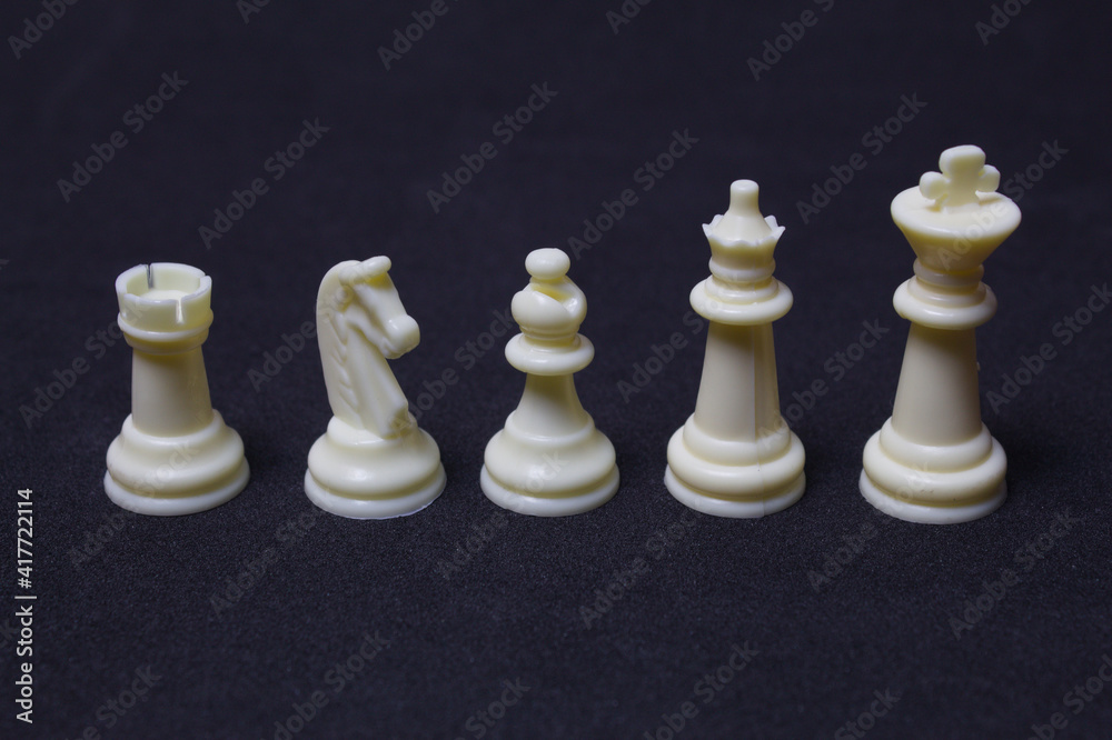Chess game with its pieces and board Chess game with its pieces and board