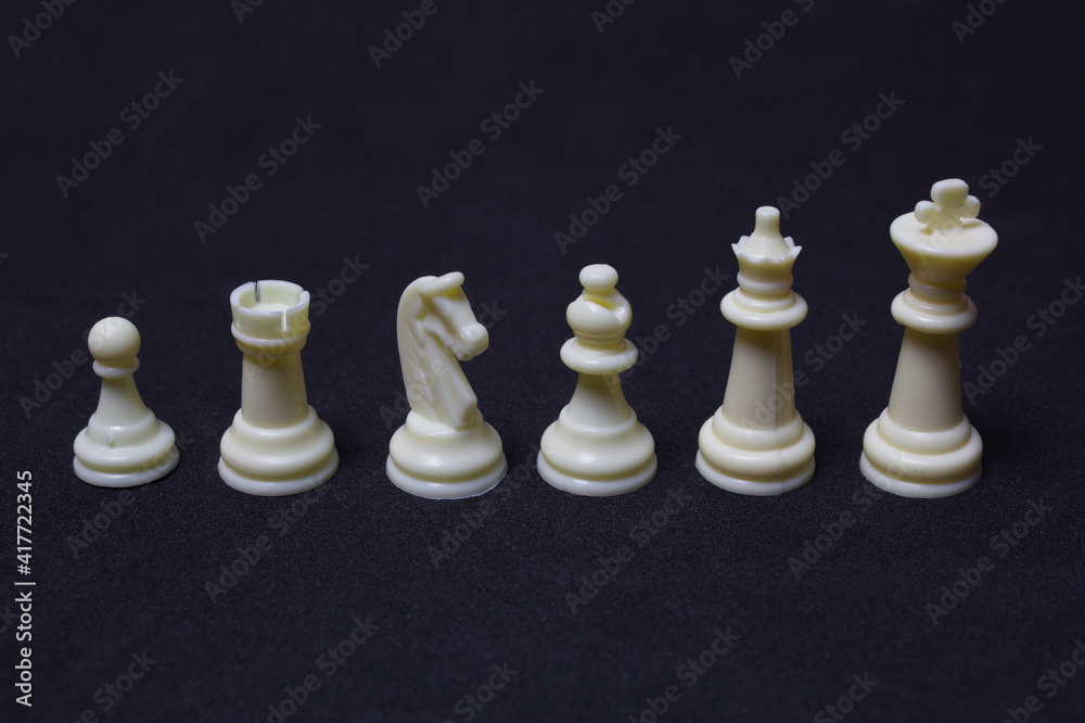 Chess game with its pieces and board Chess game with its pieces and board
