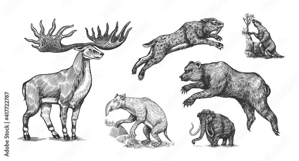 Mammoth or extinct elephant, Woolly rhinoceros Cave bear lion. Panthera Saber toothed tiger, Irish elk or deer, Ground sloth, Megatheriidae. Vintage animal. Retro Mammals. Hand drawn engraved sketch.