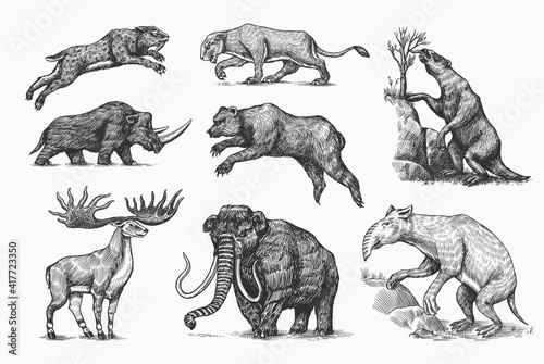 Mammoth or extinct elephant, Woolly rhinoceros Cave bear lion. Panthera Saber toothed tiger, Irish elk or deer, Ground sloth, Megatheriidae. Vintage animal. Retro Mammals. Hand drawn engraved sketch. photo
