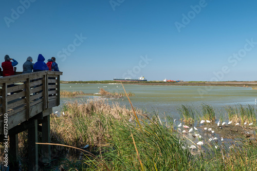 PORT ARANSAS, TX - 13 FEB 2020: Photographers and ornithologists looking at birds in wetland at the Port Aransas Nature Preserve, known by bird watchers for its birdlife, with a ship in the distance. photo