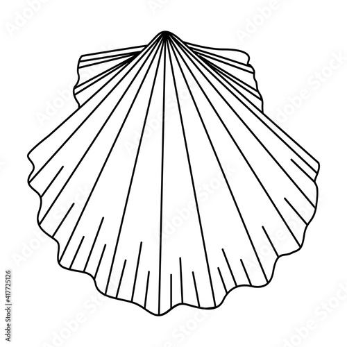 Vector illustration of a sea shell. Cute contour hand drawing of a shell. Design element