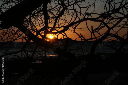 sunset 