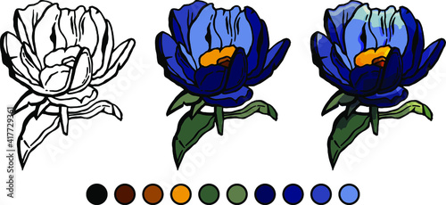 Vector image of a flower on a white background, step-by-step coloring, for children, cartoon style, blue flower
