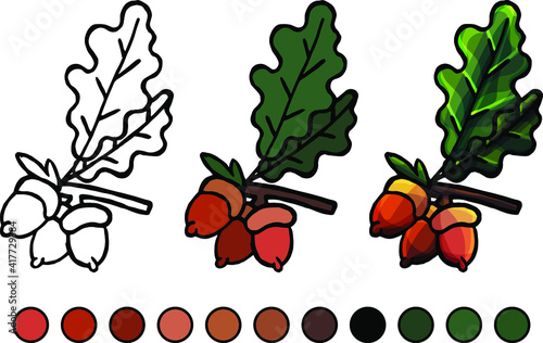 Coloring book, acorn, on white background, cartoon style, doodle, flat style, isolated, education, leaves, coloring, for children, childhood, example, paints, develop, draw, skill, logic, autumn, joy