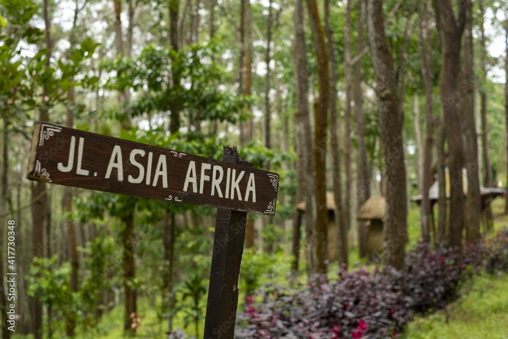 a signpost that reads the roads of Asia Africa. this is in the middle of a pine forest