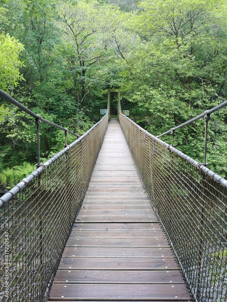 Fototapeta premium puente sobre el rio en el campo