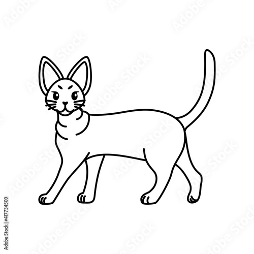 Isolated outline of a cat - Vector illustration