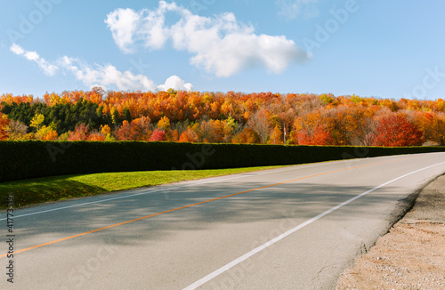  Ontario, Canada, nice inviting natural highway road view on sunny autumn gorgeous day, travel destinations background