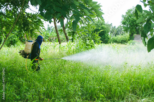 Sung noen, Korat / Thailand - July 4, 2018 : Man using hand-applied herbicides or herbicide application with a backpack sprayer to spray on the grass, weed-killing or weed control.
