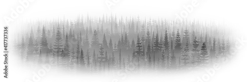 Forest in the fog in a white vignette. Black and white landscape.