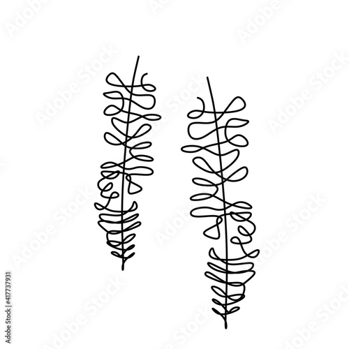 One single line drawing of beautiful Fuji flower with leaf. Wisteria flower is one of species of woody climbing bines. Natural plant in spring and early summer. Vector illustration