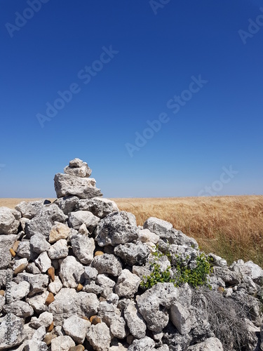 Beautiful and peaceful landscape with white stones in the background in Spain  © vista