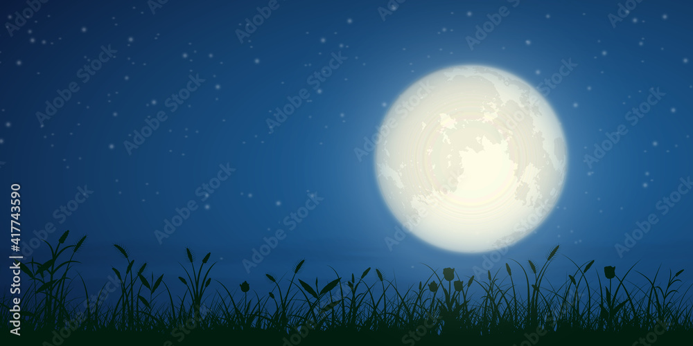 Naklejka premium starry night and full moon