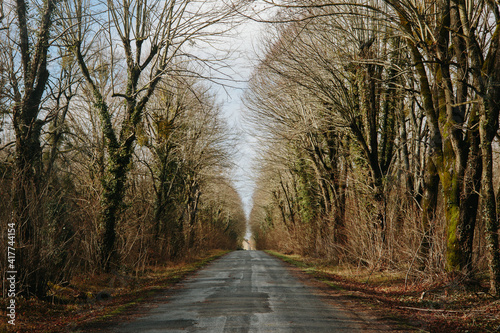 Sticker Forest road in Vexin, France