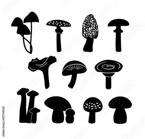 Set of various mushrooms. Mushroom silhouette. Vector illustration.
