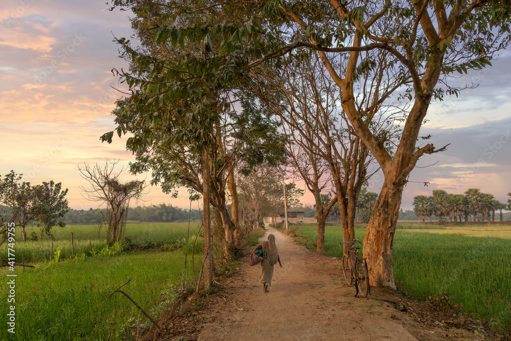 Rural India with unpaved village road and agriculture fields at sunset at  West Bengal India