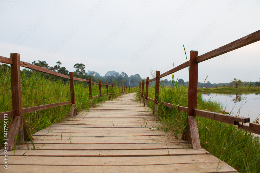 wooden bridge over the lake