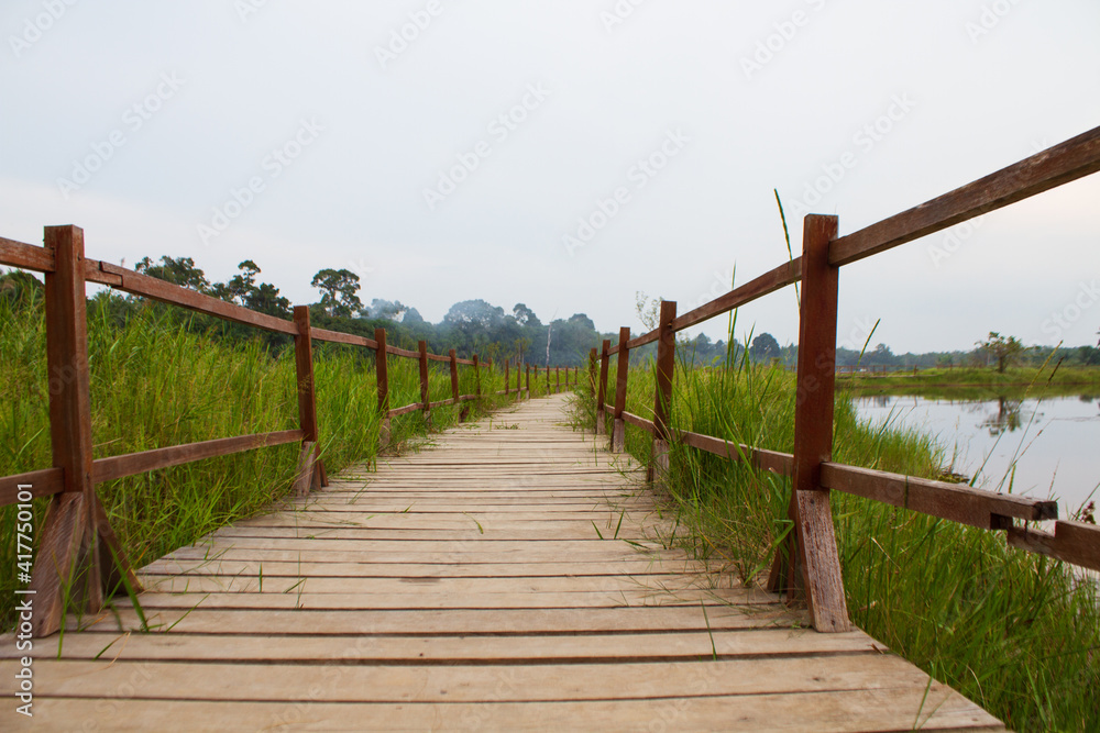 wooden bridge over the lake wooden bridge over the lake