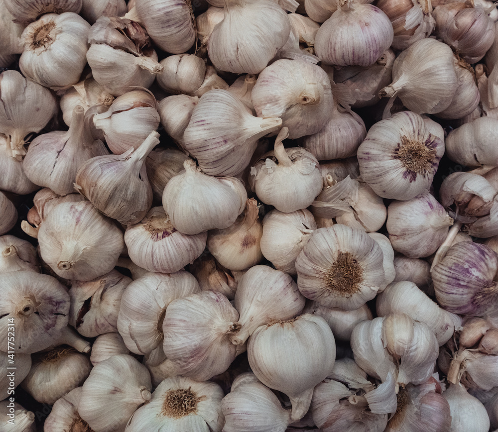 Garlic Bunch Garlic Bunch