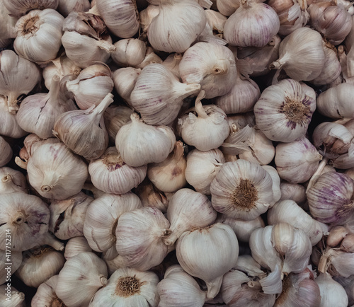Garlic Bunch