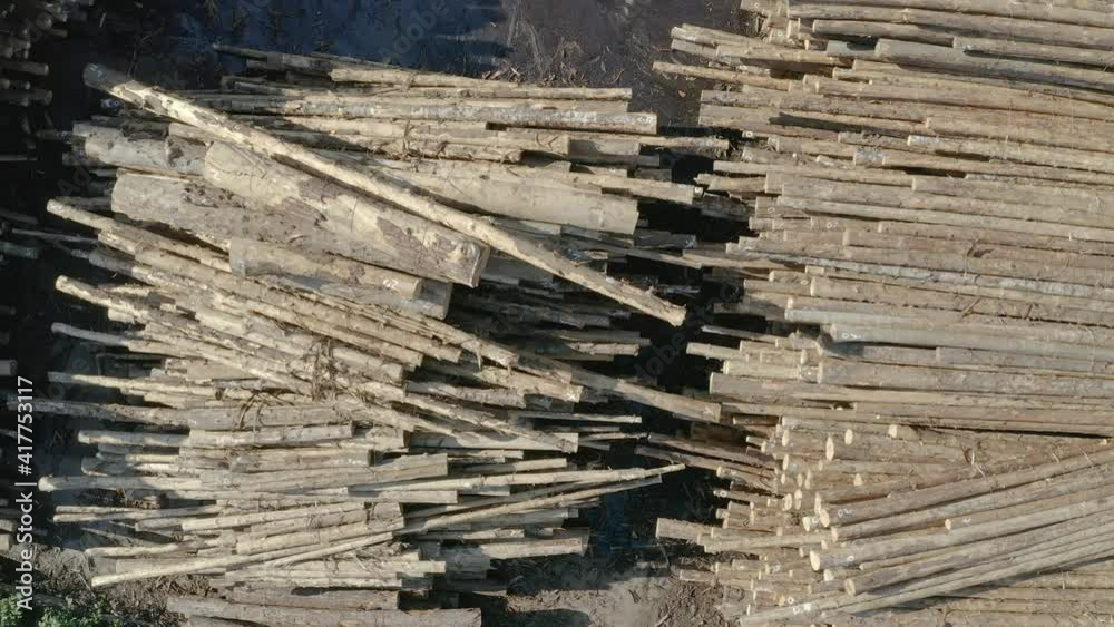 Endless piles of wood at a lumber processing plant in Oregon, United States. Large tree logging operation. Endless piles of wood at a lumber processing plant in Oregon, United States. Large tree logging operation.