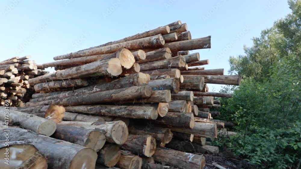 Rotating shot of stacked tree lumber at a logging site in Oregon, United States. Rotating shot of stacked tree lumber at a logging site in Oregon, United States.