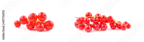 Red currant berries an isolated on white background