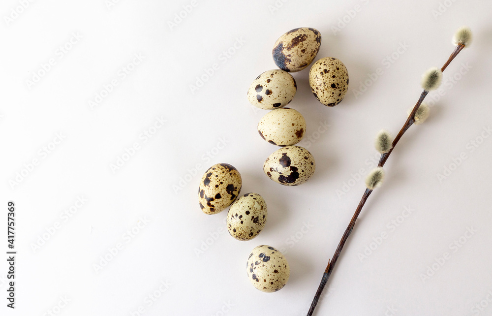quail eggs and a sprig of pussy willow on a white background. Concept for a minimalistic Easter card quail eggs and a sprig of pussy willow on a white background. Concept for a minimalistic Easter card